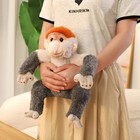 Proboscis Monkey Plush Toy 13  Stuffed Animal Toddler Doll Gift For Kids