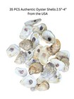 35pcs Oyster Shells 2 5 -4  Natural From Usa For Crafts  Vase Fillers  Decor Etc