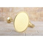 Victorian Brass Showerhead With 12  Shower Arm Combo