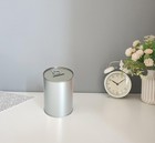 Metal Money Coin Piggy Bank No Break To Open Saving Box W easy-open-end Lid    