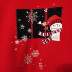 Vintage Top Stitch By Morning Sun Cool Grandma Snowman Snowflake Sweater Red 1x