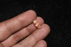 Ancient South East Pyu Culture Etched Carnelian Bead With 3 Stripes   Patina