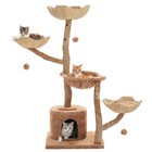 Pawz Road Modern Cat Tree Tower For Large Cats W  Real Solid Wood Natural Branch