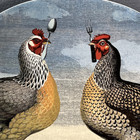 John Derian  Hungry Chickens Oval Stoneware Serving Platter 15x11    Target New