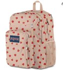 Jansport Laptop Backpack - Computer Bag With 2 Compartments  Ergonomic Shoulder