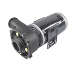 2 Speed 4 Hp Horsepower Spa Pump Pvc 3450 Rpm 230v 2-1 2 x2  56-frame 3721621-13