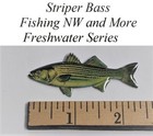  1  Striper Bass Hat Or Lapel Pin - Freshwater Series