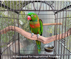 Bird Parrot Cage 3 Perch  Set Manzanita Wood Branches One 24  Two 12 