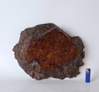 Stunning Burl Wood Shikiita Stand  Zm8