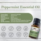 Organic Peppermint Essential Oil Usda Certified 100  Pure Therapeutic Grade