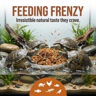 Dried Mealworms Shrimp Crickets Mix Aquatic Turtle Food Insect Blend For Chicken