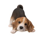 Realistic Adorable Crouching Tri Color Beagle Dog Puppy Figurine 7 5  Long Beagl