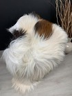 Xxl Genuine White Brown Icelandic Sheepskin Rug Chair Throw Gift Pet Bed Decor