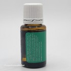 Young Living Eucalyptus Radiata Essential Oil 15ml New   Factory Sealed