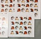 Birds Of Prey Scott  4608-4612  5 Sheets Of 20 Mnh Post Office Fresh  Lot Of 5