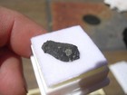  292 Grams 14x5x4mm Murchison Fragment Meteorite In A Glass Top Display Case Coa