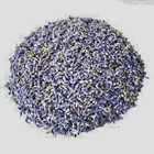 French Lavender Flower Organic Buds Dried   Lavandula X Intermedia