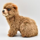 Hansa Bear 25 Bh7037 New Realistic Plush Animals From Japan