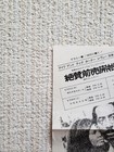 Ike   Tina Turner 1974 Jp Tour Promotional Flyer