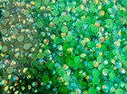 Green Rainbow Round Flat Back Resin 3mm Jewelry Crafting Nail Gems