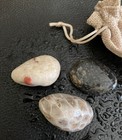 3pc Michigan Rock Sampler -petoskey Stone  Puddingstone  Yooperlite Sodalite 4oz