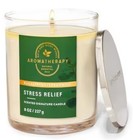 Lot Of 4 Aromatherapy Bath   Body Work Candle eucalyptus Spearmint 8oz new fresh