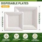 60-pack Compostable Square Plates 10  8  - Eco-friendly Sugarcane