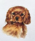 100  Hand Painted Custom Pet Portraits Painting Watercolor  free Tracking  