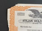 Stejan Holding Corp  200 Shares  Stock Certificate