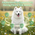 Oral Flea   Tick Support For Dogs  Herbal Liquid With Multivitamins - Dog   