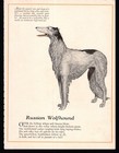 1920s Antique Borzoi Print Poem Poetry Print Wessell Russian Wolfhound Art 6220u