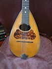 Washburn Cremonatone 215 Bowlback Mandolin W Original Case 1890s-1910s