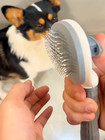 Pets Hair Grooming Massage Deshedding Cleaning Brush   Hair Remover Dog Cat Comb
