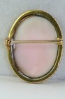 Victorian Antique 14k Old Carved Pink Conch Shell Cameo Pin