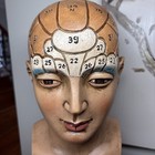 Vintage Dr  Willarton Phrenology Head Bust Antique Rare