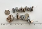 25 Natural Holey Beach Rocks  75  Hag Stones Adder Fairy Lucky Wish Magic  a1 Us