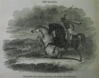 1838 Magazine  The Quagga  Extinct Zebra Of South Africa  Homer  British Navy