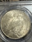 1926-s Peace Dollar  Pcgs Ms62  Better Date  Free Shipping