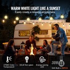 100ft Led Outdoor String Patio Lights Waterproof G40 Shatterproof Bulbs