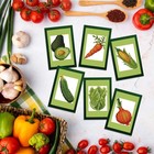 Diamond Art Club Mini Dazzles Veggies Diy Diamond Painting Kit For Adults  6-pac