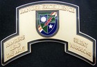 75th Ranger Regiment Presented For Excellence Rltw Challenge Coin