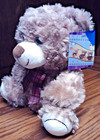 Teddy Bear Plush 10  Brown Stuffed Animal Red Plaid Ribbon Soft Toy-3  Yrs  1007