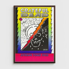 Grateful Dead Spring Tour 1988 Poster Vintage Concert Art Print 24x36
