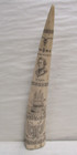 Faux Scrimshaw Walrus Tusk Resin Replica The Ship Regulus Captain James Hoad