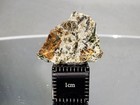 Erg Chech 002  Achondrite-ung  1 6g Meteorite Chip  Deep Green Crystal 4 565 Byo