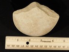 2 9 To 1 7 Million Year Old Paleolithic Age Oldowan Pebble Chopper Algeria 435gr