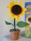 Vtg 1997 Gemmy Animated Sunny Singing Sunflower Hidden Nature Flower Pot   Box