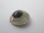 Vintage Prosthetic Eye Beautifully Detailed Glass Or Acrylic Estate Find
