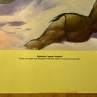 Nos Vintage Rare Rainier Beer Poster  Barbeerian Conquers Sasquatch  Stout    76