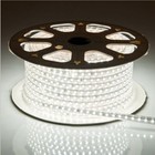 1-15m 24v 2835 120led m Ip67 White Waterproof Flexible Rope Sign Led Strip Light